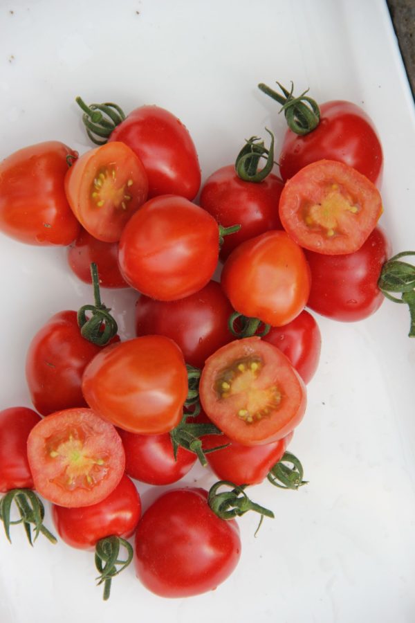 TOMATOBERRY – Image 1