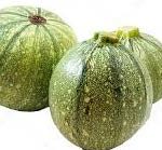 COURGETTE VERTE RONDE BIO