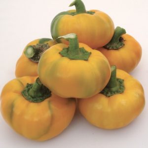 FATALII
