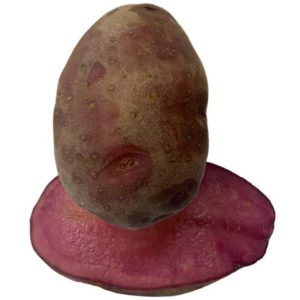 Pomme de terre ’Mulberry Beauty’ 1 kg