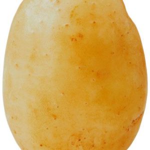 Bio Semenceaux de pommes de terre Acoustic 1 kg