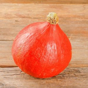 COURGE ORANGE KNIRPS