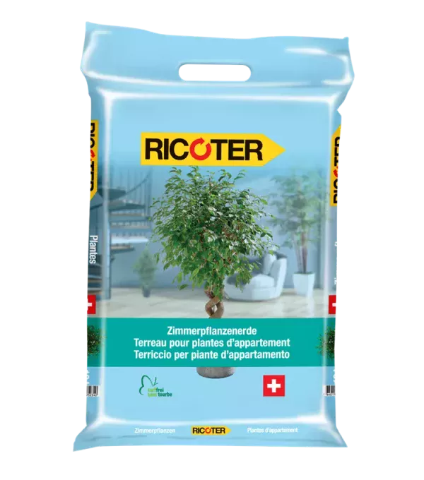 Plantes d'appartement 10L RICOTER – Image 1