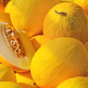 ESPAGNOL