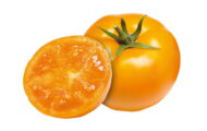 Tomate Yellow Delicious greffée