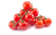 Tomate Cocktail rouge greffée