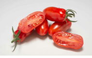 Tomate Marzanello greffée