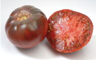 Tomate Noire de Crimée greffée
