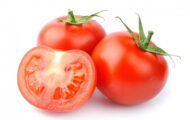 Tomate Primeur greffée