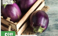 Aubergine Ronde greffée