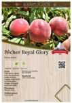 Pêcher Royal Glory