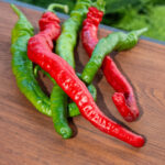 Piment Haricot greffé
