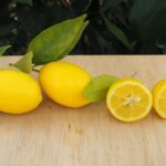 Limequat Tavares