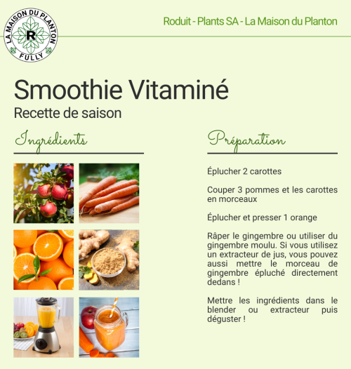 Recette Smoothie Vitaminé