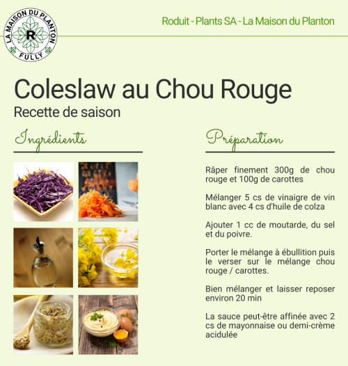 Recette coleslaw chou rouge